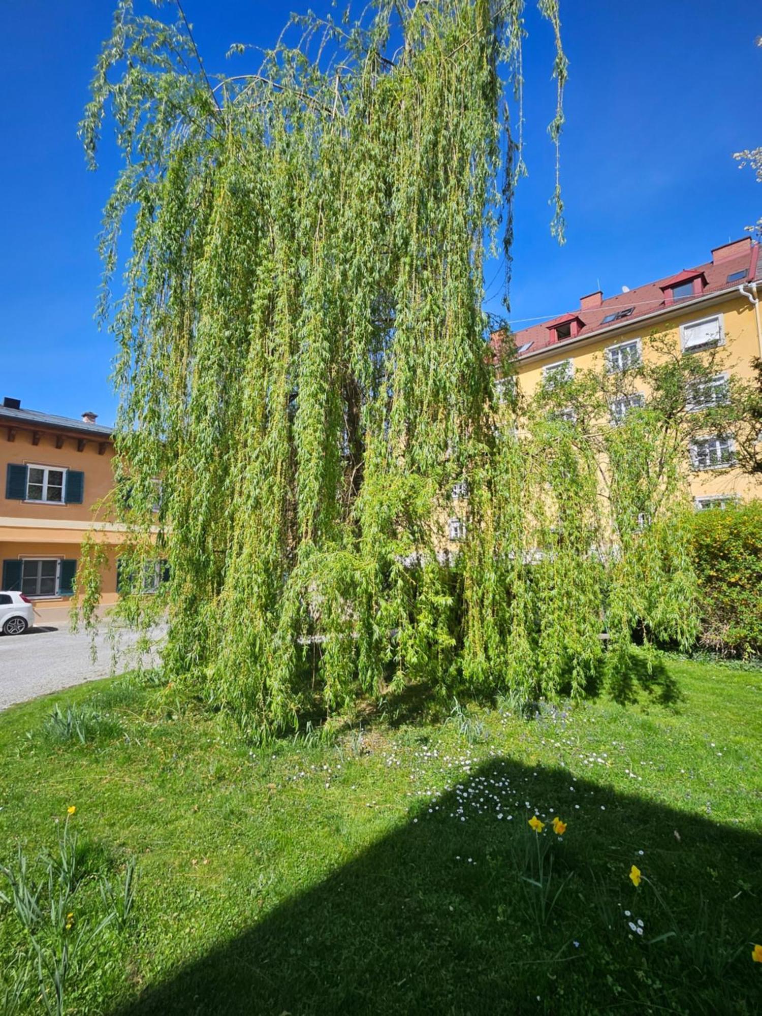 Golden Flat By Grazrentals With Parkview - Brandnew & Free Parking Exteriör bild