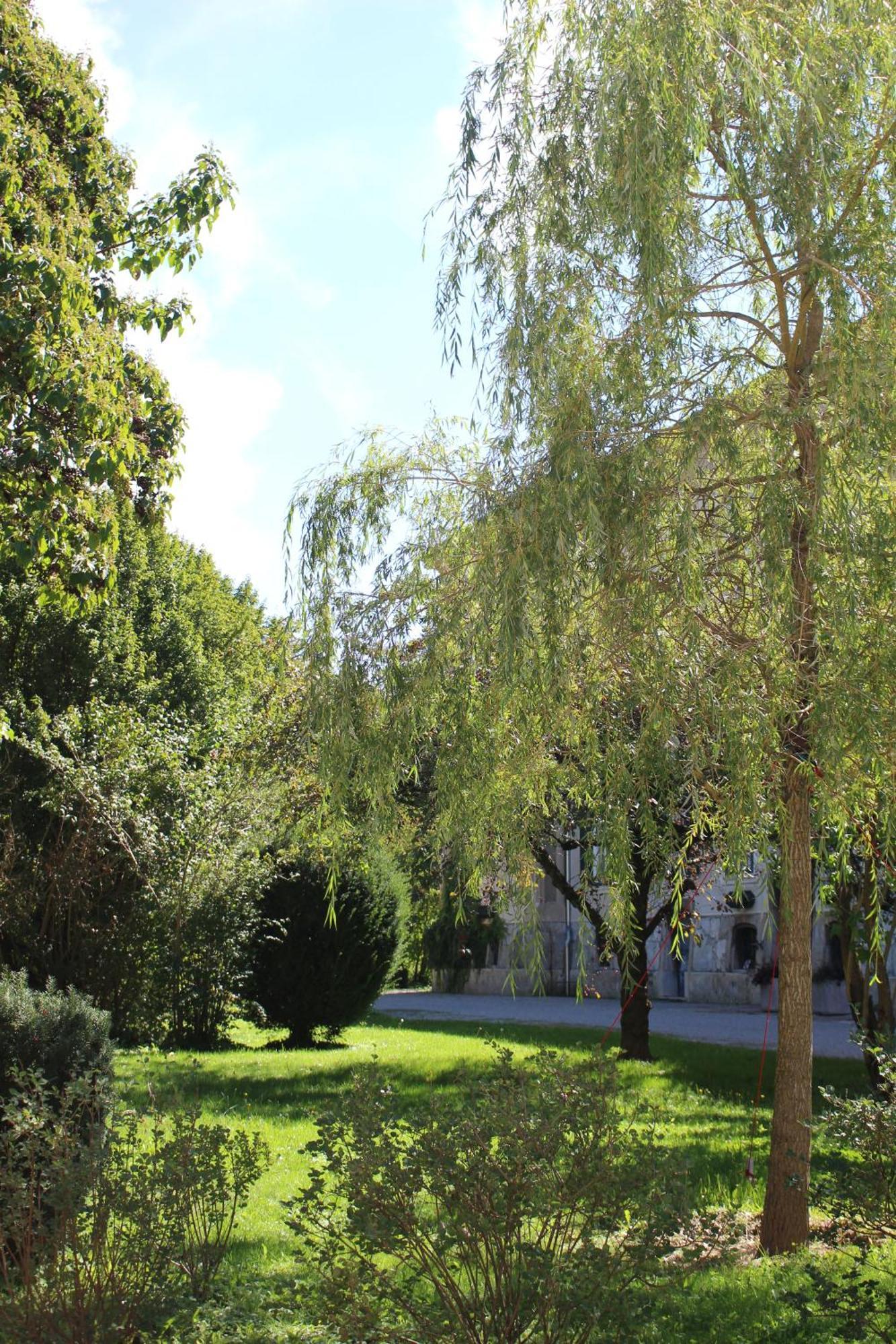 Golden Flat By Grazrentals With Parkview - Brandnew & Free Parking Exteriör bild